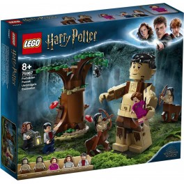 LEGO Harry Potter 75967 - La Forêt interdite : la rencontre d'Ombrage