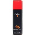 GALLER BATON LT CROUSTILLAN70G