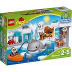 LEGO 10803 Duplo - Les Animaux De L'Arctique