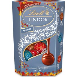 LINDOR LINDT Tablette de chocolat assortiment LINDOR LINDT 200g