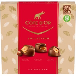 COTE OR Assortiment de chocolats Collection COTE D'OR 135g