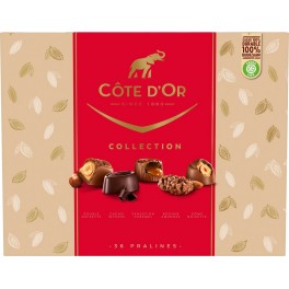 COTE OR Assortiment de chocolats Collection COTE D'OR 345g